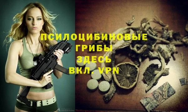 прущий лед Вязьма